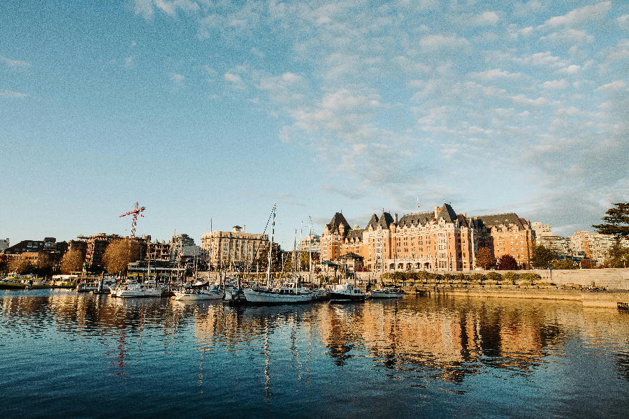 armon-arani-Zu4L4ERl_sw-unsplash